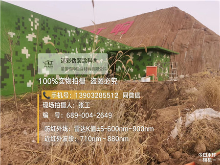 宝鸡星空迷彩墙施工队