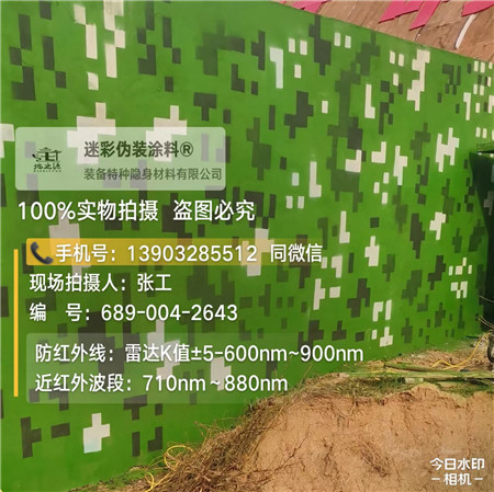 宝鸡星空迷彩漆，夏令营训练,数码迷彩作训墙,围墙